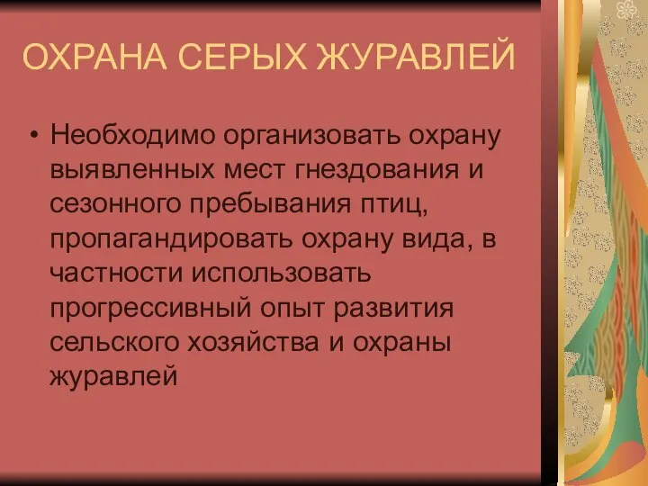 ОХРАНА СЕРЫХ ЖУРАВЛЕЙ Необходимо организовать охрану выявленных мест гнездования и сезонного