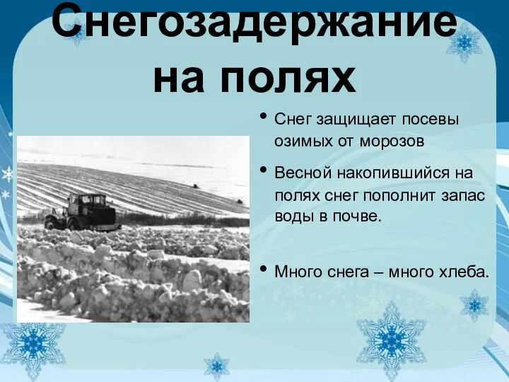 Снегозадержание на полях Снег защищает посевы озимых от морозов Весной накопившийся