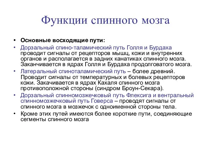 Функции спинного мозга Основные восходящие пути: Дорзальный спино-таламический путь Голля и