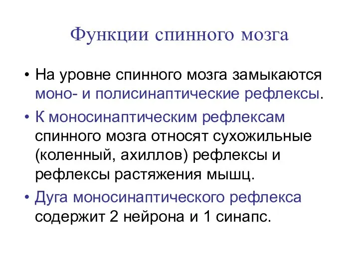 Функции спинного мозга На уровне спинного мозга замыкаются моно- и полисинаптические