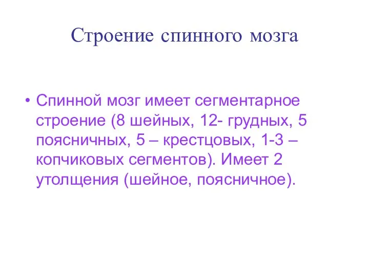 Строение спинного мозга Спинной мозг имеет сегментарное строение (8 шейных, 12-