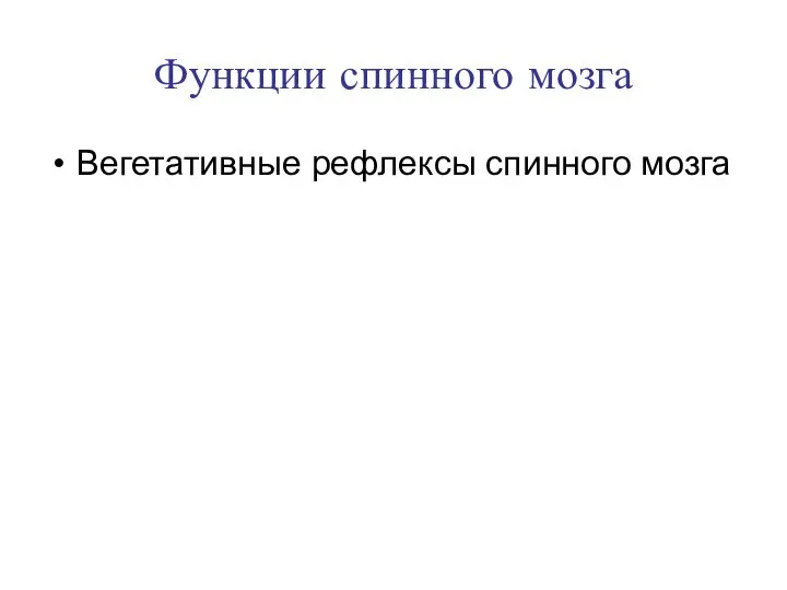 Функции спинного мозга Вегетативные рефлексы спинного мозга