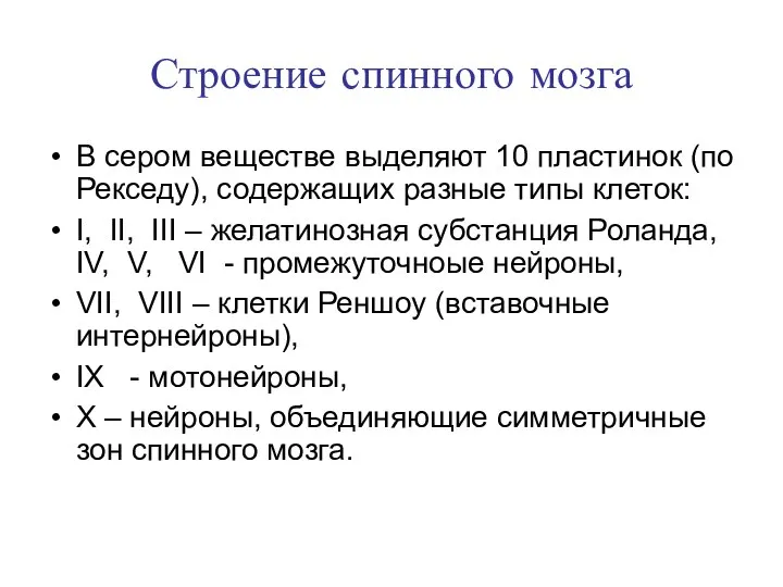 Строение спинного мозга В сером веществе выделяют 10 пластинок (по Рекседу),