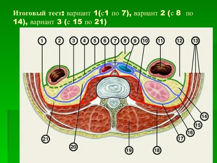 Итоговый тест: вариант 1(с1 по 7), вариант 2 (с 8 по