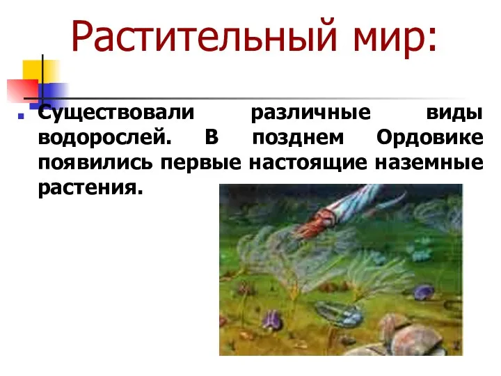 Растительный мир: Существовали различные виды водорослей. В позднем Ордовике появились первые настоящие наземные растения.