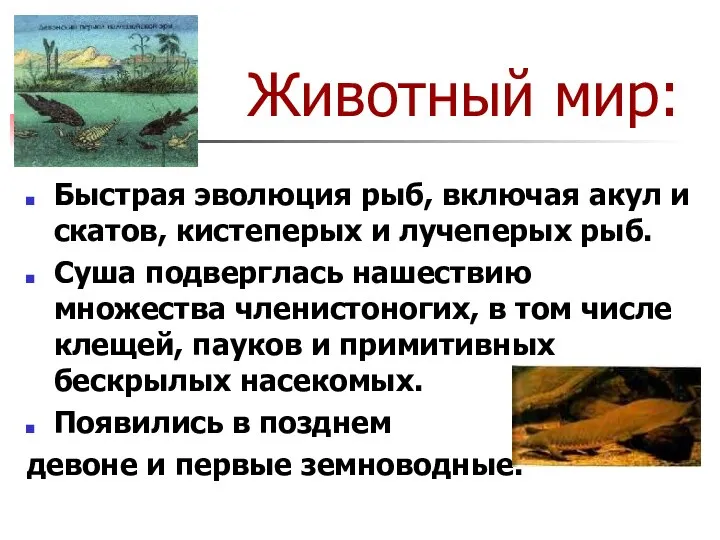 Животный мир: Быстрая эволюция рыб, включая акул и скатов, кистеперых и