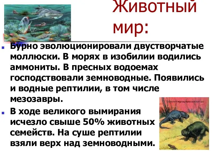 Животный мир: Бурно эволюционировали двустворчатые моллюски. В морях в изобилии водились