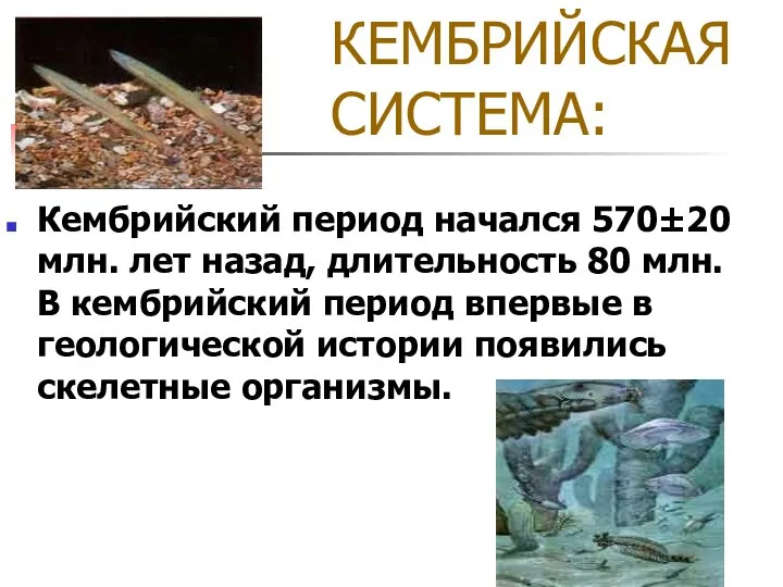 КЕМБРИЙСКАЯ СИСТЕМА: Кембрийский период начался 570±20 млн. лет назад, длительность 80