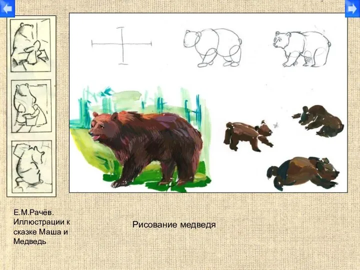 Рисование медведя Е.М.Рачёв. Иллюстрации к сказке Маша и Медведь
