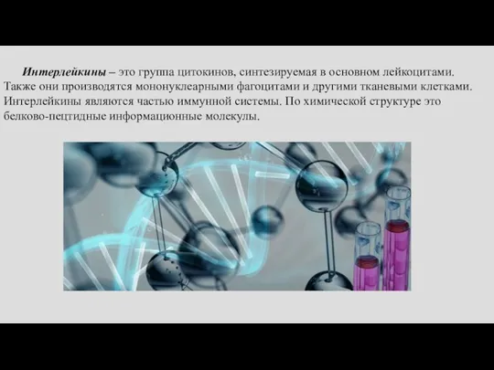 Интерлейкины – это группа цитокинов, синтезируемая в основном лейкоцитами. Также они