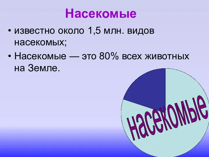 Насекомые известно около 1,5 млн. видов насекомых; Насекомые — это 80% всех животных на Земле. насекомые