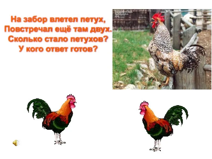 На забор влетел петух, Повстречал ещё там двух. Сколько стало петухов? У кого ответ готов?