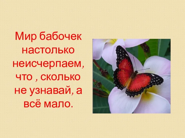 Мир бабочек настолько неисчерпаем, что , сколько не узнавай, а всё мало.