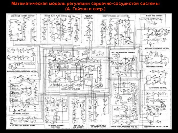 Математическая модель регуляции сердечно-сосудистой системы (А. Гайтон и сотр.)