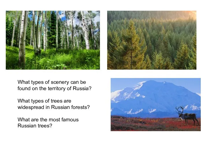 What types of scenery can be found on the territory of