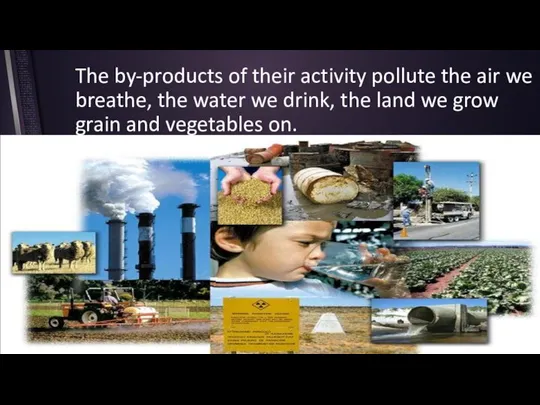 The by-products of their activity pollute the air we breathe, the