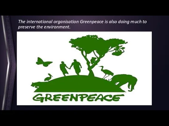 The international organisation Greenpeace is also doing much to preserve the environment.