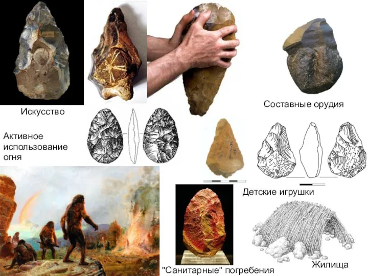 Искусство Составные орудия Жилища Детские игрушки Активное использование огня "Санитарные" погребения