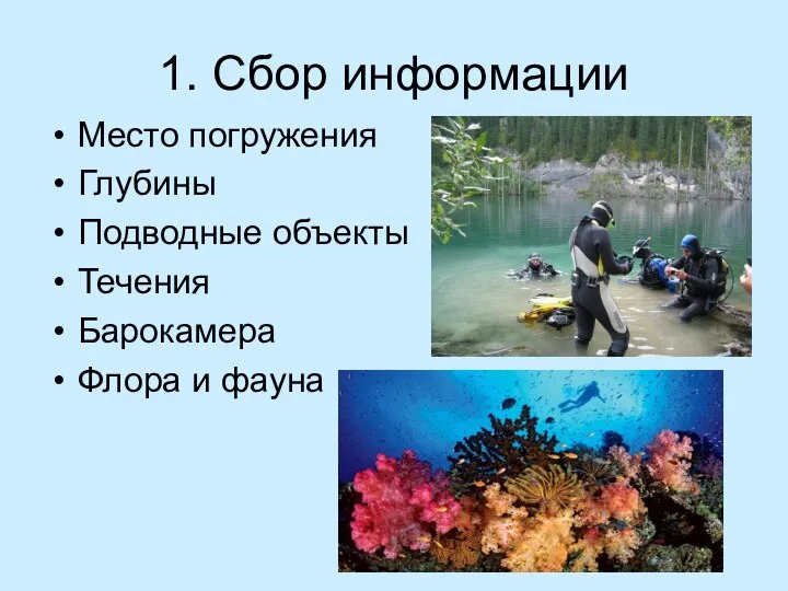 1. Сбор информации Место погружения Глубины Подводные объекты Течения Барокамера Флора и фауна