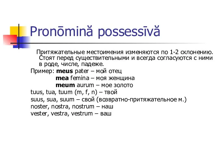 Pronōmină possessīvă Притяжательные местоимения изменяются по 1-2 склонению. Стоят перед существительными