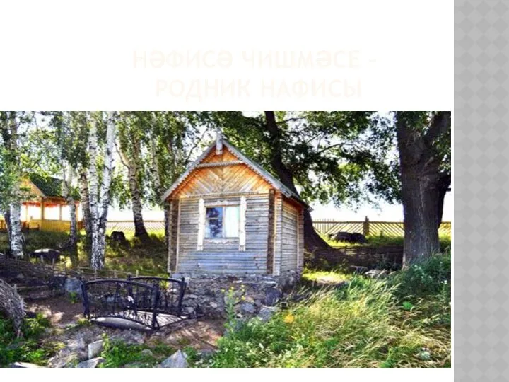 НӘФИСӘ ЧИШМӘСЕ – РОДНИК НАФИСЫ