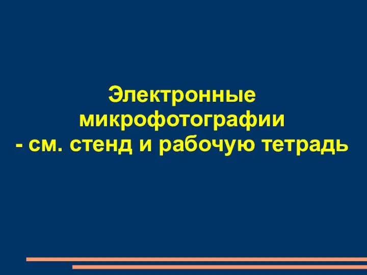 Электронные микрофотографии - см. стенд и рабочую тетрадь