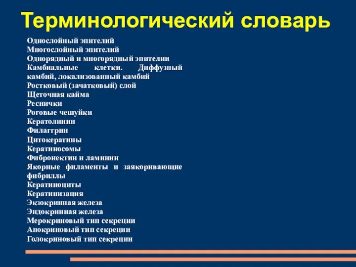 Однослойный эпителий Многослойный эпителий Однорядный и многорядный эпителии Камбиальные клетки. Диффузный