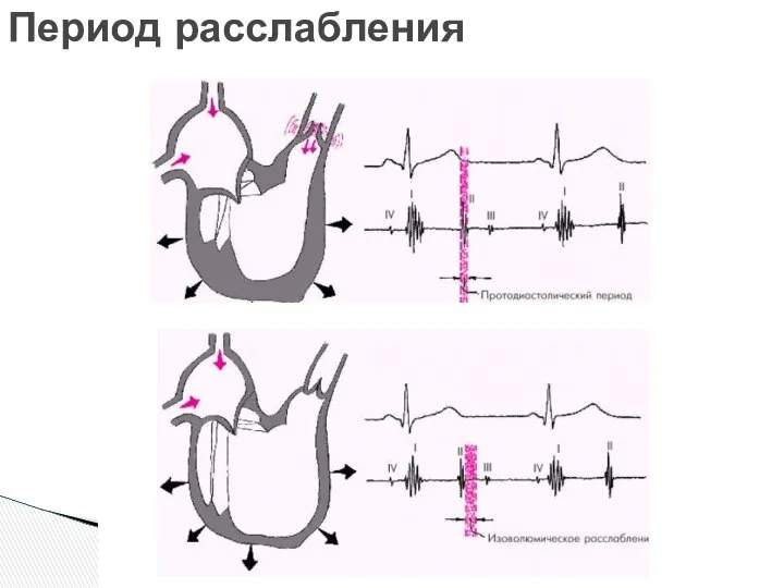 Период расслабления