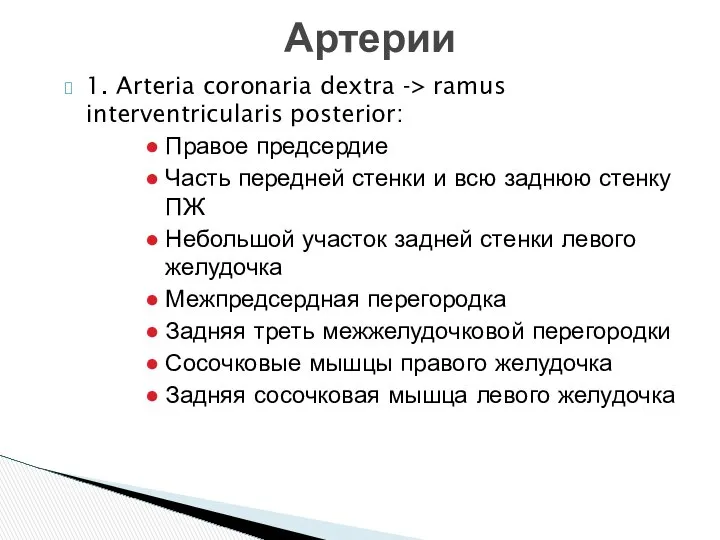 1. Arteria coronaria dextra -> ramus interventricularis posterior: Правое предсердие Часть