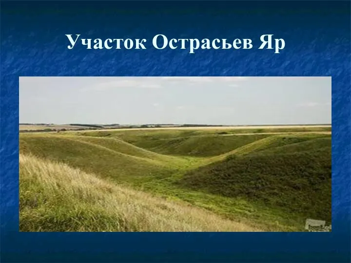 Участок Острасьев Яр