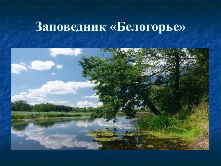 Заповедник «Белогорье»