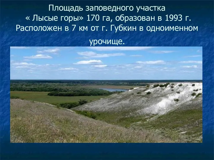 Площадь заповедного участка « Лысые горы» 170 га, образован в 1993