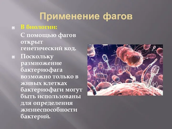 Применение фагов В биологии: С помощью фагов открыт генетический код. Поскольку