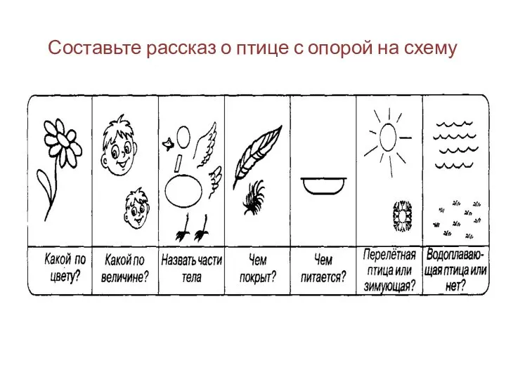 Составьте рассказ о птице с опорой на схему