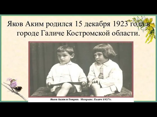 Яков Аким родился 15 декабря 1923 года в городе Галиче Костромской области.