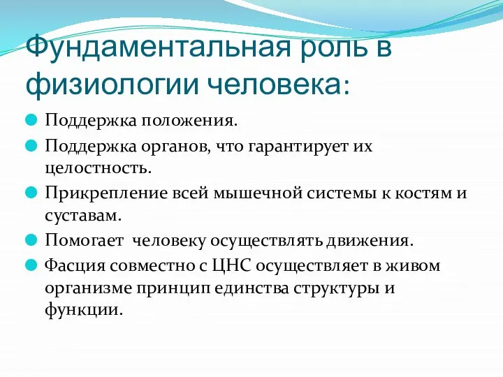 Фундаментальная роль в физиологии человека: Поддержка положения. Поддержка органов, что гарантирует