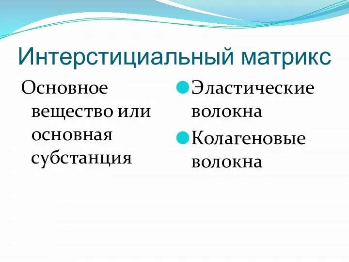 Интерстициальный матрикс Основное вещество или основная субстанция Эластические волокна Колагеновые волокна