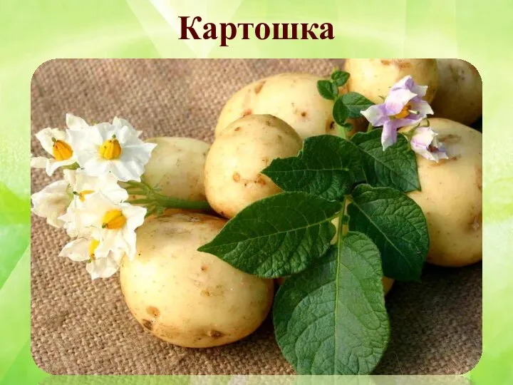 Картошка