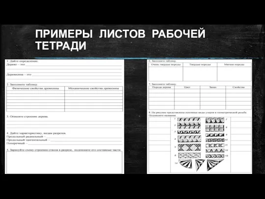 ПРИМЕРЫ ЛИСТОВ РАБОЧЕЙ ТЕТРАДИ