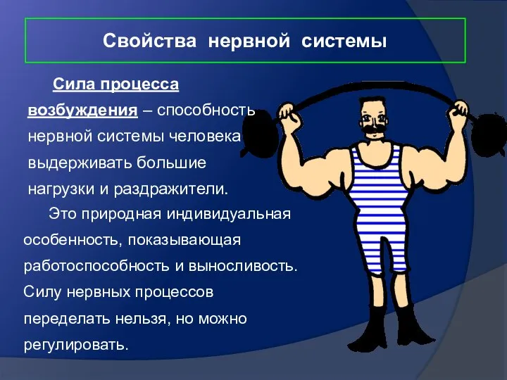 Свойства нервной системы Cила процесса возбуждения – способность нервной системы человека