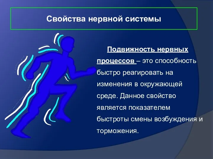 Подвижность нервных процессов – это способность быстро реагировать на изменения в