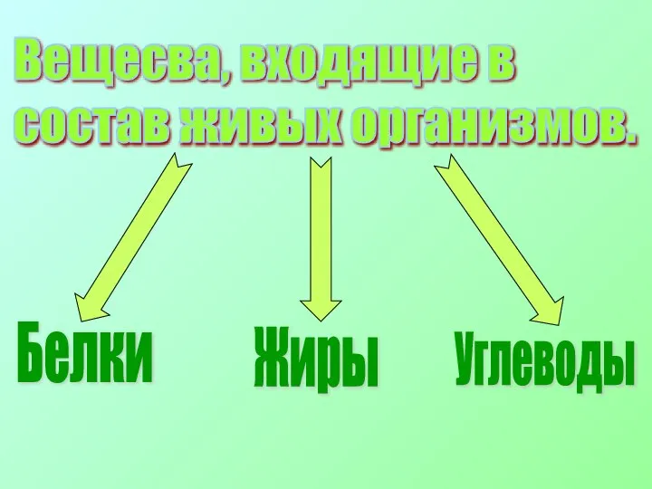 Вещесва, входящие в состав живых организмов. Белки Жиры Углеводы