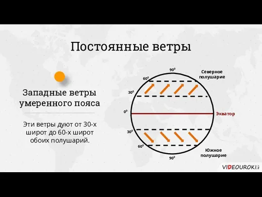 Постоянные ветры Западные ветры умеренного пояса Эти ветры дуют от 30-х