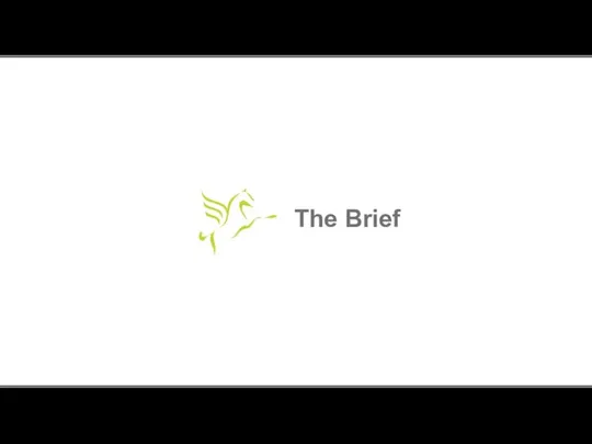 The Brief