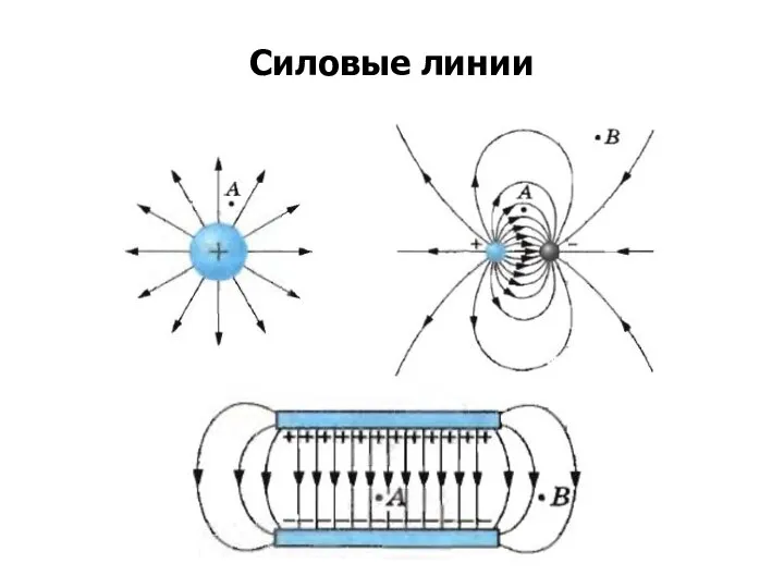 Силовые линии