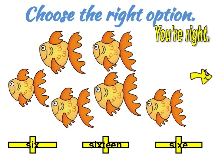 Choose the right option. sixteen six sixe You're right.