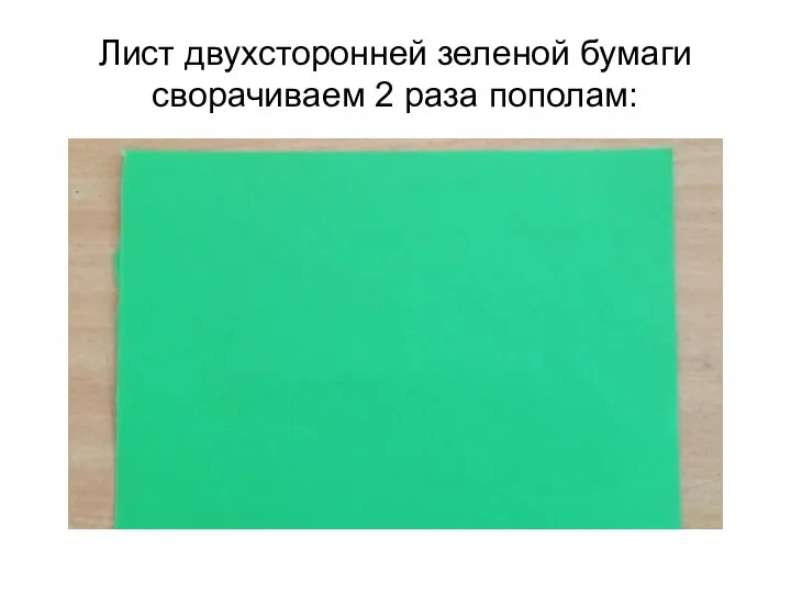 Лист двухсторонней зеленой бумаги сворачиваем 2 раза пополам: