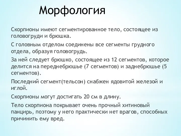 Морфология Скорпионы имеют сегментированное тело, состоящее из головогруди и брюшка. С