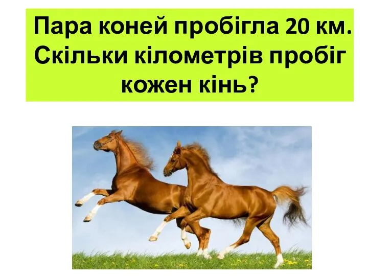 Пара коней пробігла 20 км. Скільки кілометрів пробіг кожен кінь?