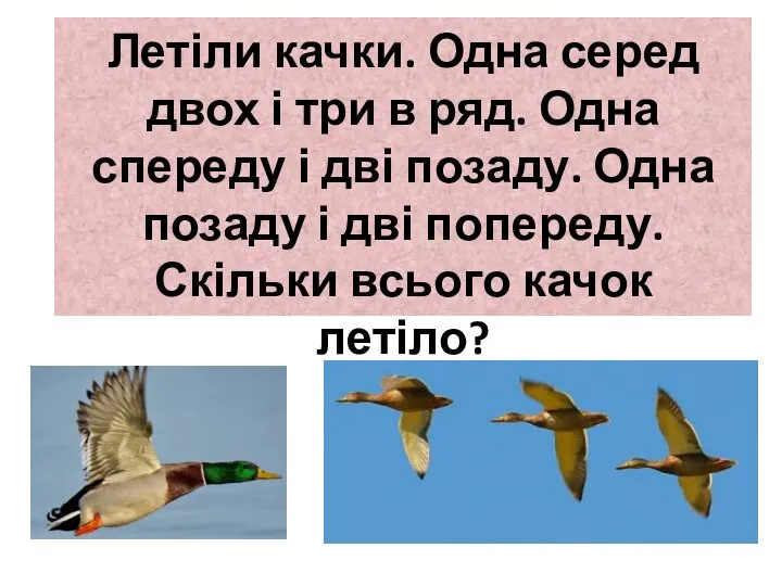 Летіли качки. Одна серед двох і три в ряд. Одна спереду